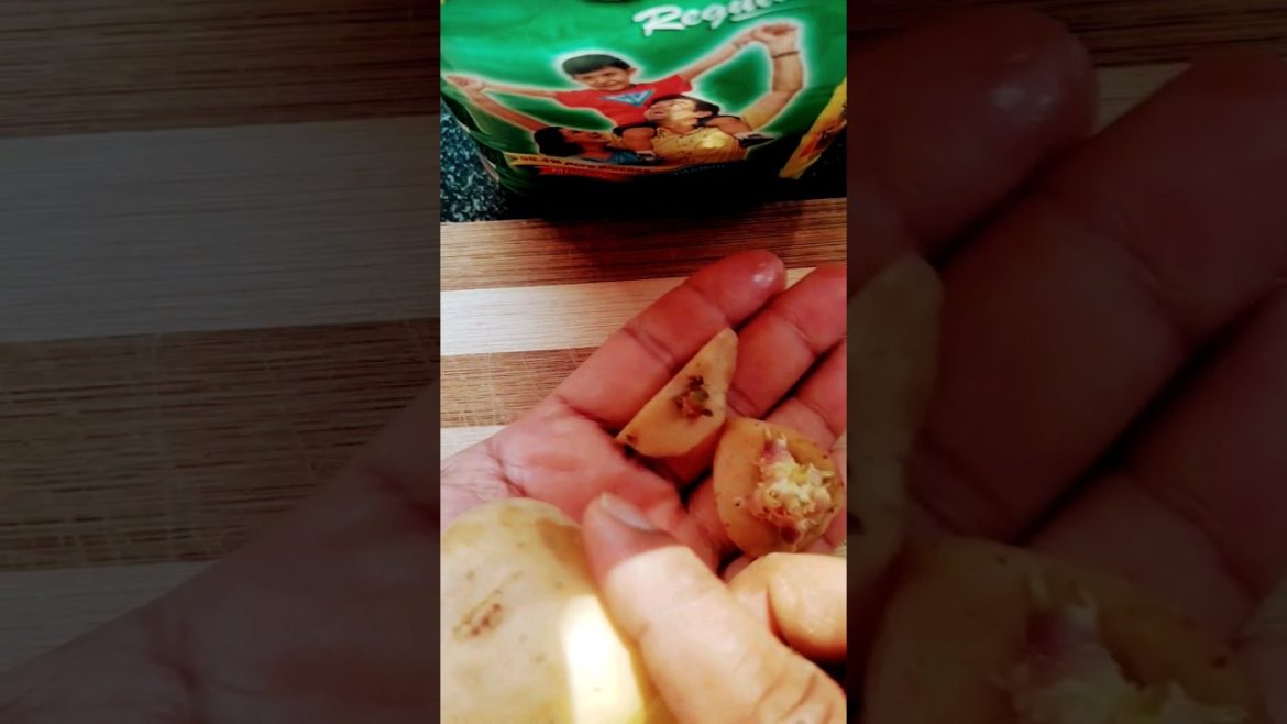 home gardening ideas 😜 how to grow potato plant  in your home garden 🤗 #shorts