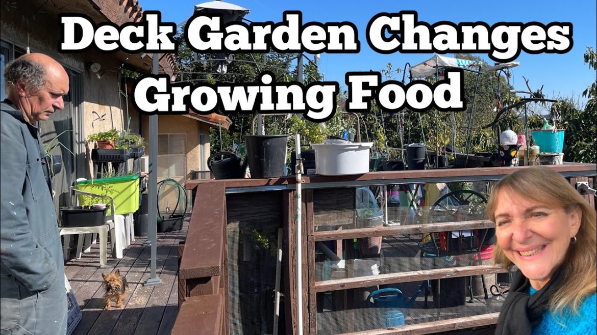 SMALL Vegetable Garden Growing Tips Creation Coming on Balcony Deck Terrace Container Gardening Food