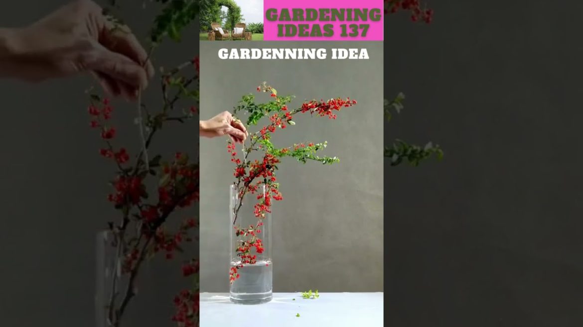 You can also try thisππ΄π±πΏπ/gardening ideas nonstop πβ¦ You can also try thisππ΄π±πΏπ/gardening ideas nonstop πβ¦