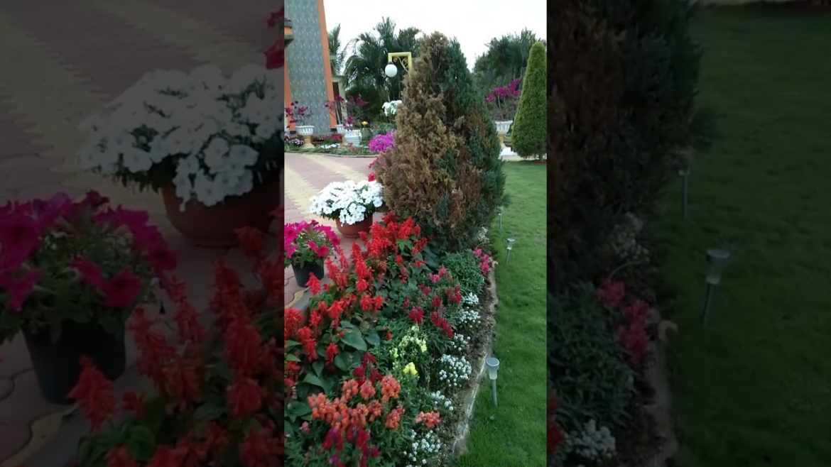 Ash flower garden ideas | diy flower garden | landscaping ideas | flower garden | diy garden ideas