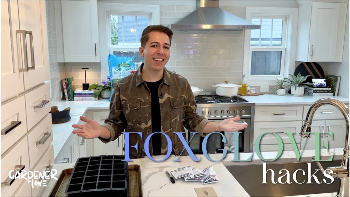 Foxglove Hacks | Gardener in Love