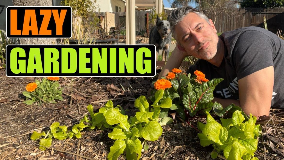 Lazy Gardening - The Benefits of Letting Plants Go to Seed