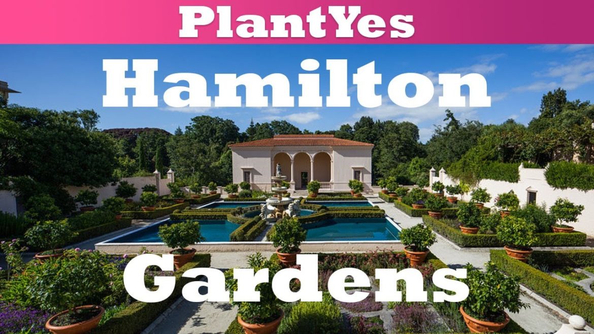 🌻 Look at all these different garden designs at Hamilton Gardens ⛲