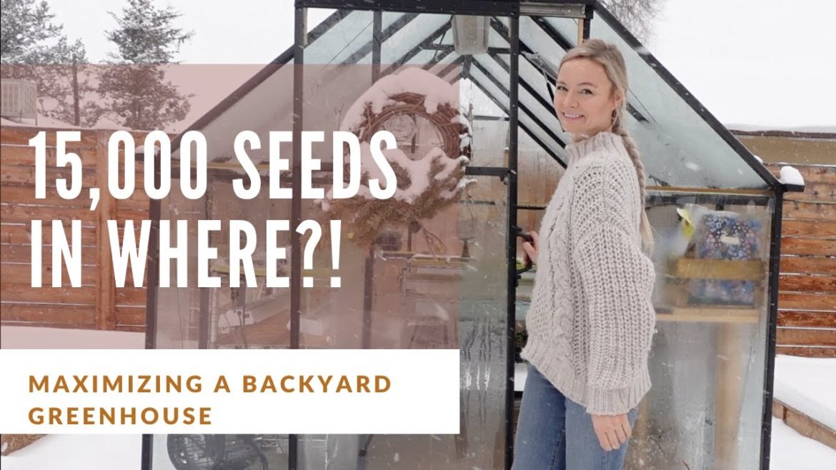 Maximizing greenhouse space in our small backyard greenhouse! Maximizing greenhouse space in our small backyard greenhouse!