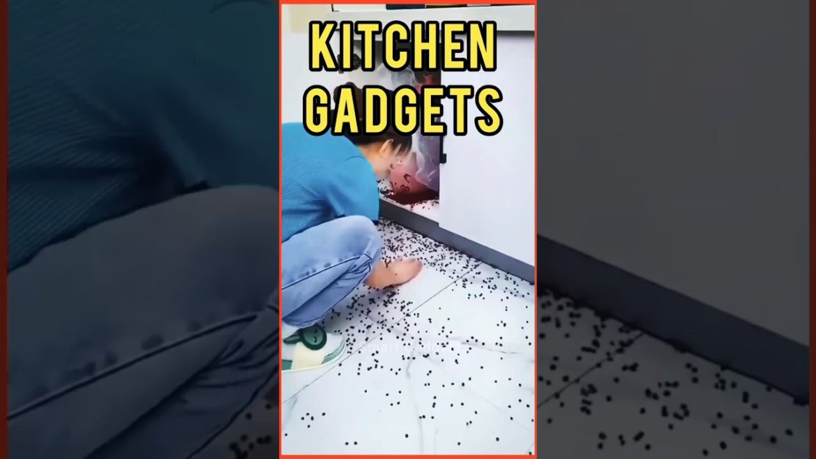 Kitchen Gadgets 😊 Tool items 😍 smart Gadgets home appliances #shorts