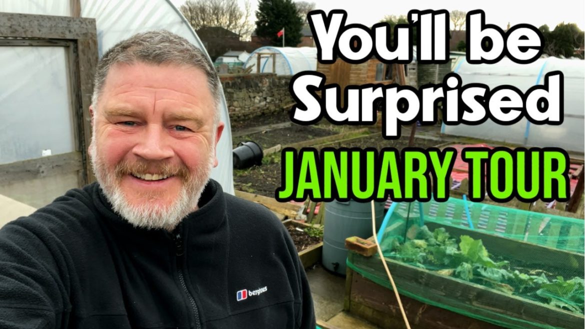 I'm Worried Sick – January Tour I'm Worried Sick - January Tour