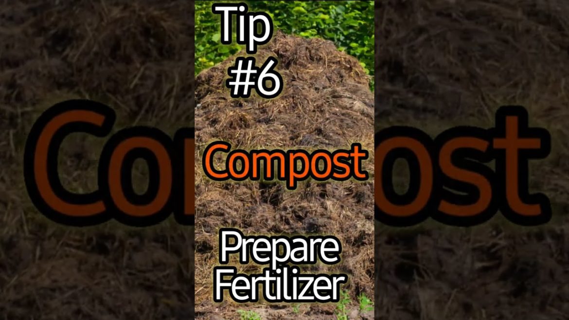 Top 10 early gardening hacks. Get Ready For Spring! Top 10 early gardening hacks. Get Ready For Spring!