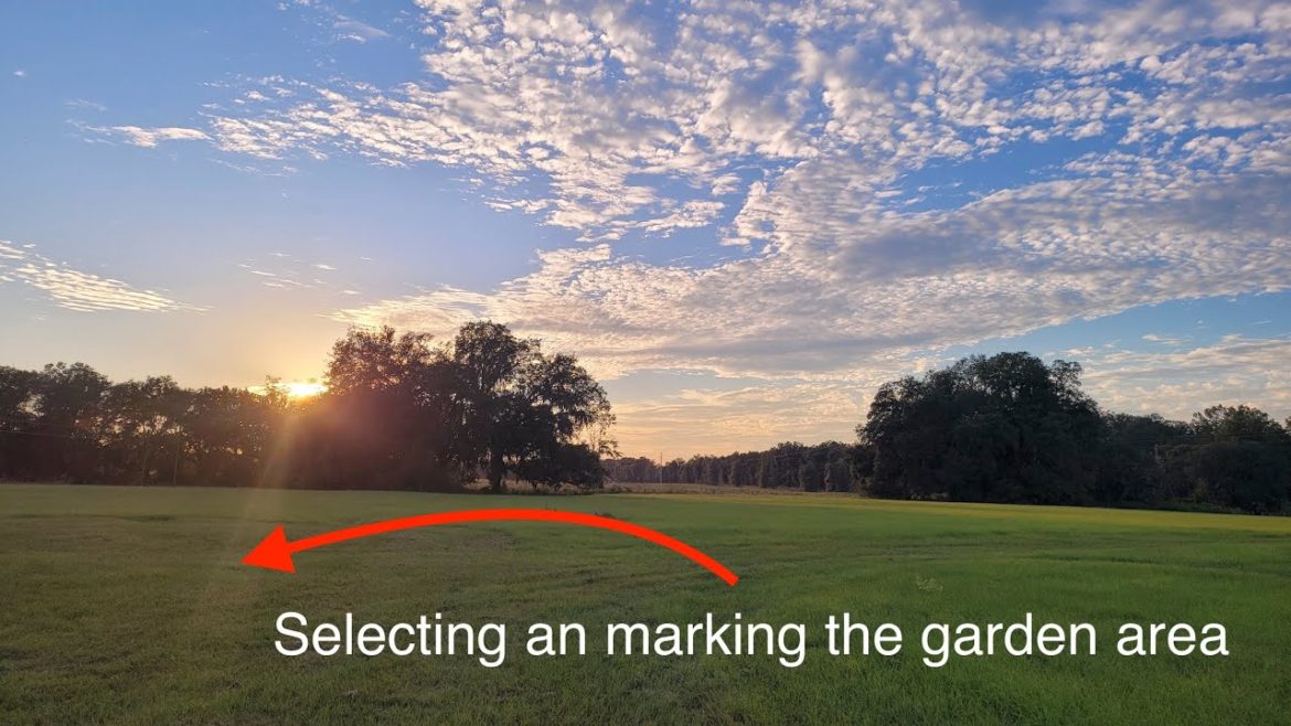 Garden Design, Development and Construction #2