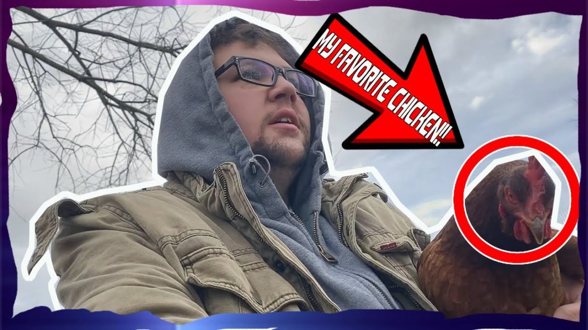 Planning My Garden For Spring | VLOGS