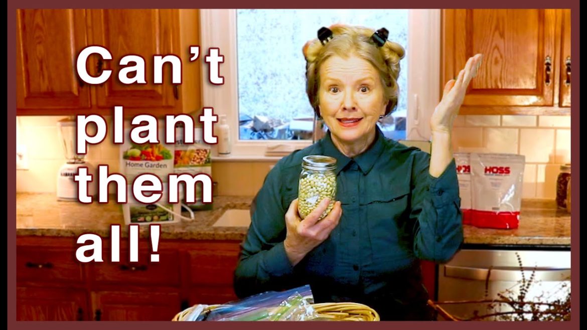 SEED HAUL | What I saved, bought & received for this season!