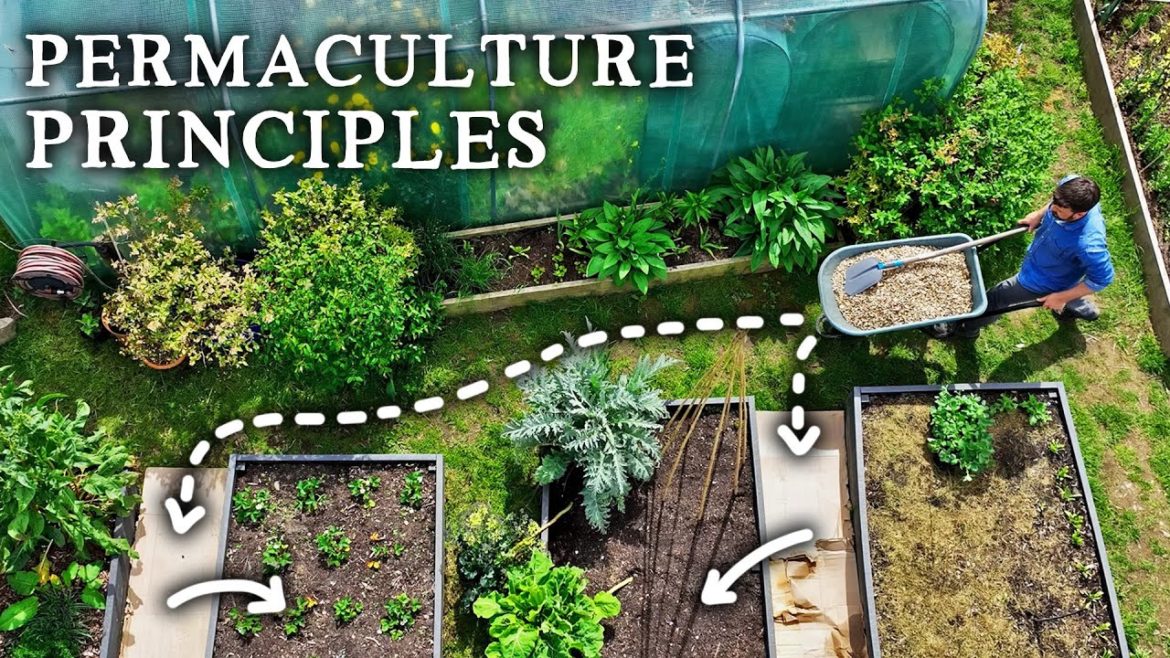 Huw Richards: Self-Sufficiency Made Easier Using These 12 Principles! Self-Sufficiency Made Easier Using These 12 Principles!