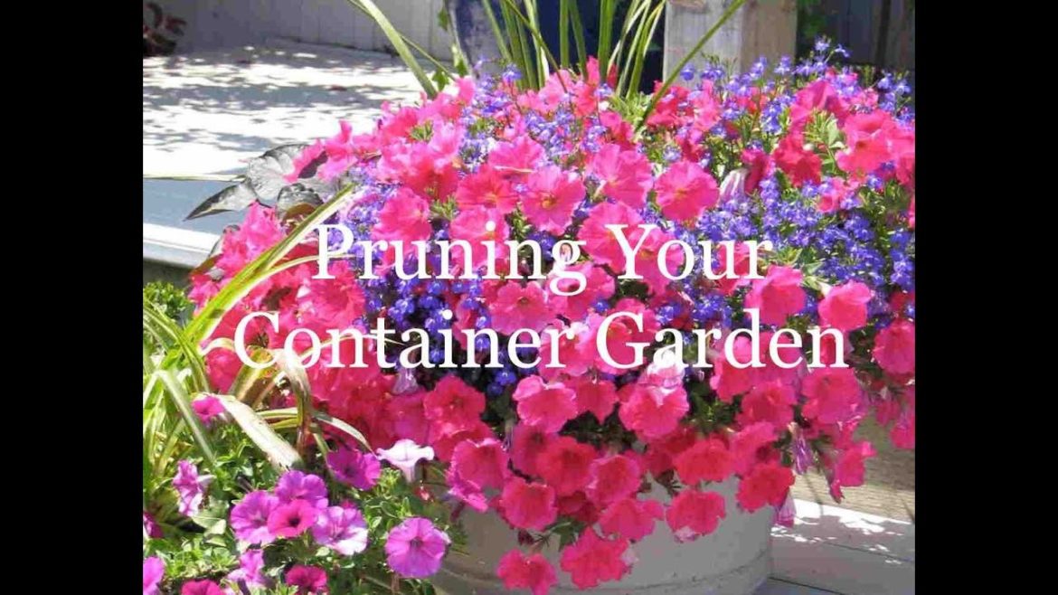 Pruning Your Container Garden For Improved Looks and Growth Pruning Your Container Garden For Improved Looks and Growth