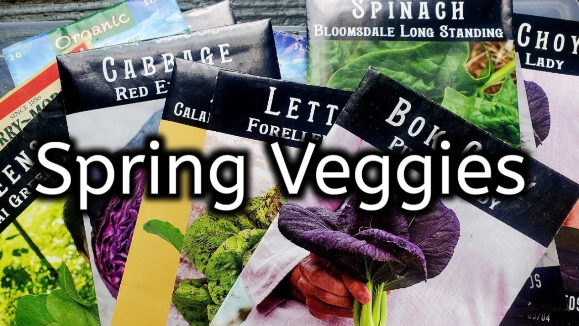 2023 Veggies Garden Picks For Early Spring