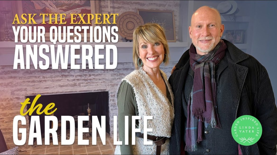 Answering Your Interior Design Questions with the Expert Answering Your Interior Design Questions with the Expert