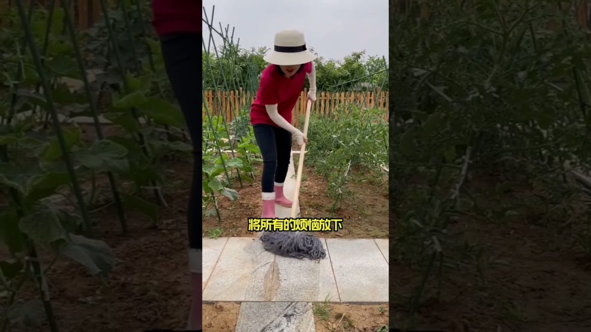 happened with garden at home happened with garden at home