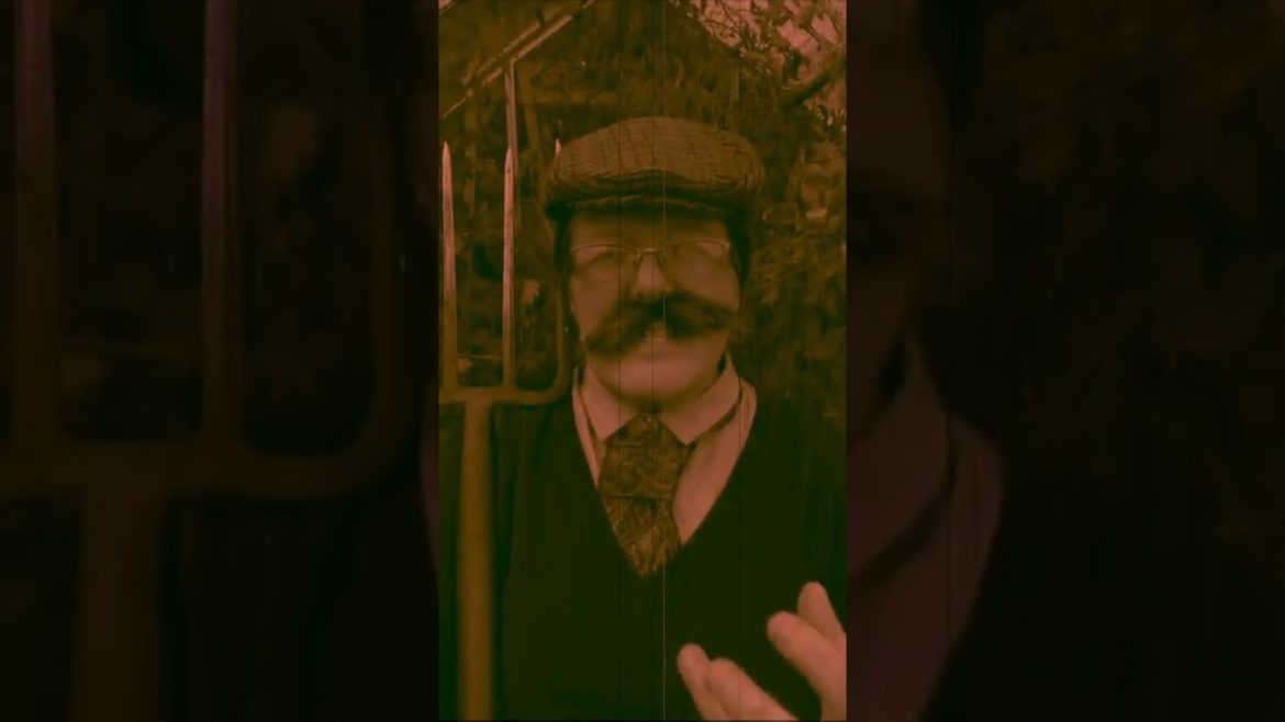 Mr Middleton's TOP GARDENING TIPS for October 2022 | #short Mr Middleton's TOP GARDENING TIPS for October 2022 | #short