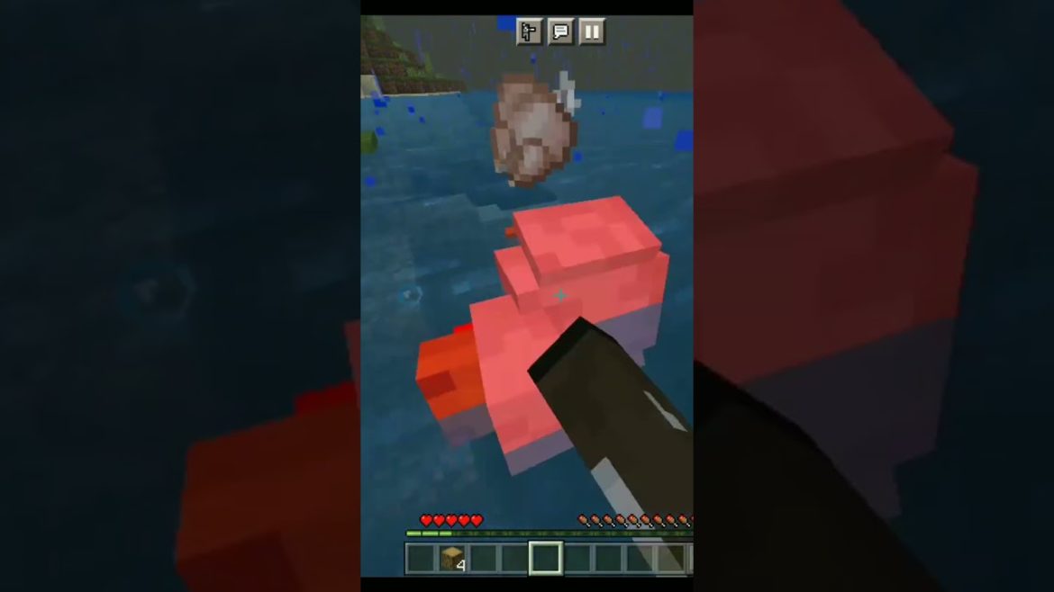 Minecraft But Doing Random Morphing … Minecraft But Doing Random Morphing ...