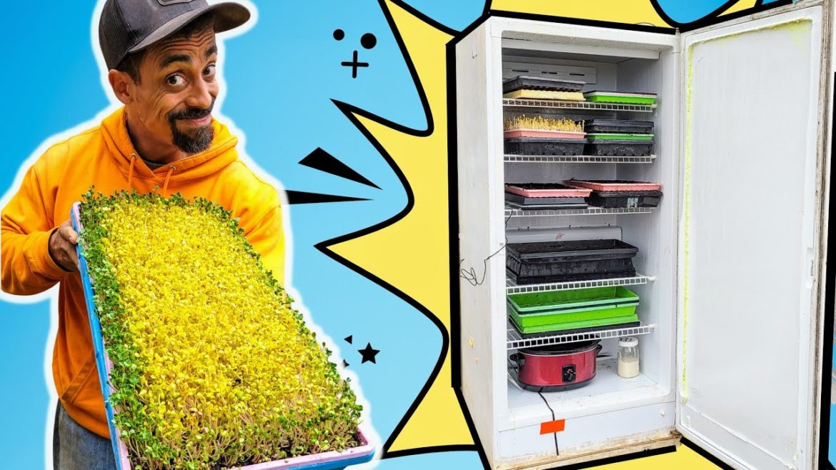 SECRET to MORE FOOD & FASTER | DIY Home to Build a Germination Chamber