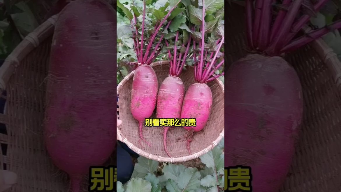 happened with garden at home happened with garden at home