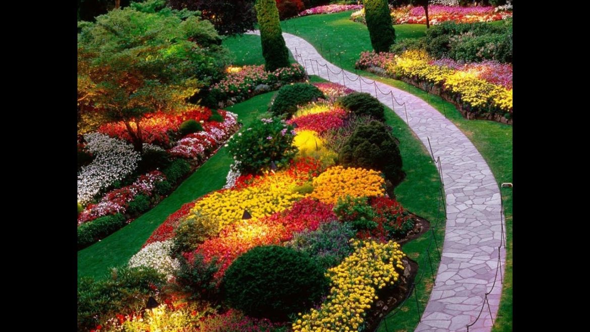 Gardening Landscaping Design Ideas