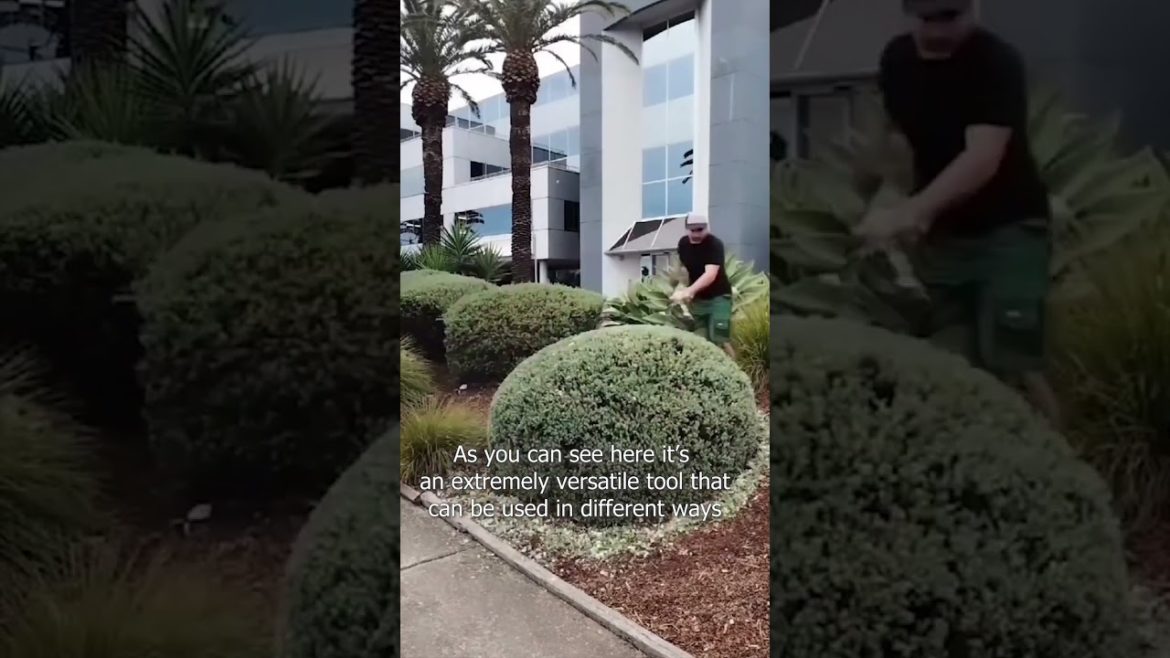 Relaxing and satisfying landscaping hedge trimming Relaxing and satisfying landscaping hedge trimming