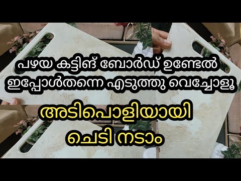 Waste material planter ideas/Diy planter ideas/gardening ideas for home/garden tour/gardening Waste material planter ideas/Diy planter ideas/gardening ideas for home/garden tour/gardening
