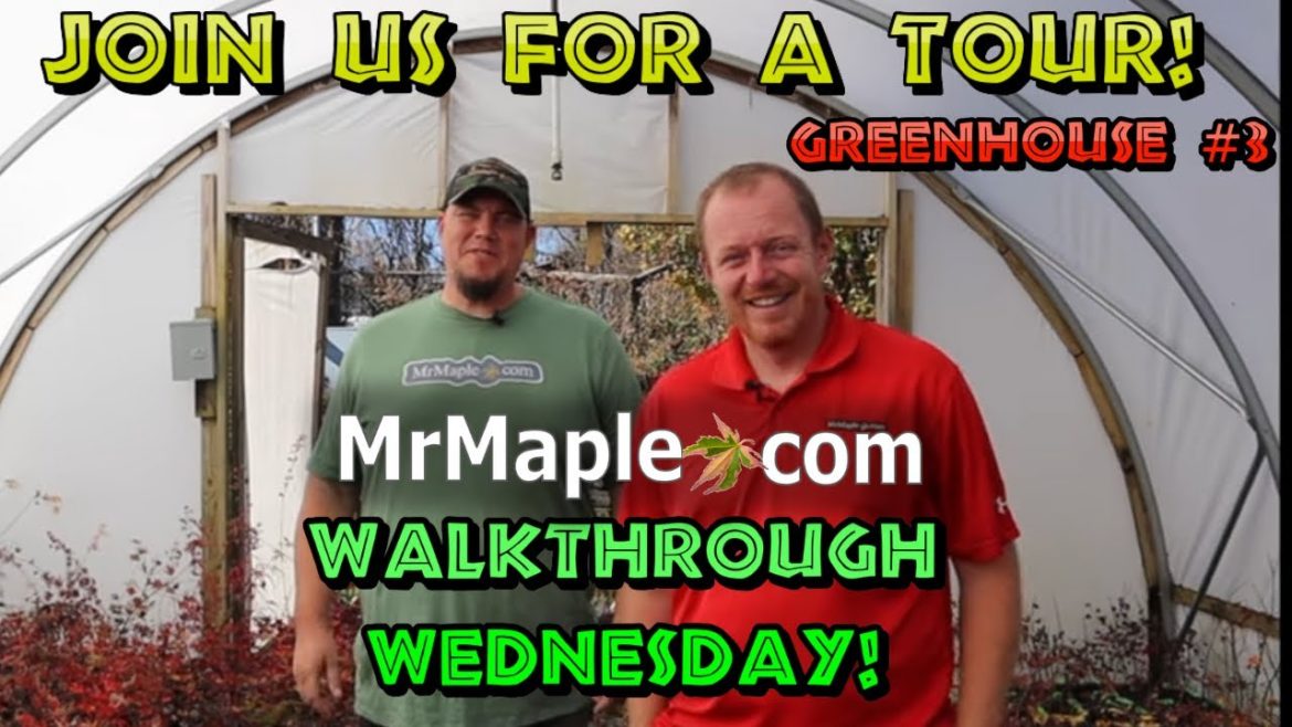 Wednesday Walkthrough of Greenhouse #3 Wednesday Walkthrough of Greenhouse #3