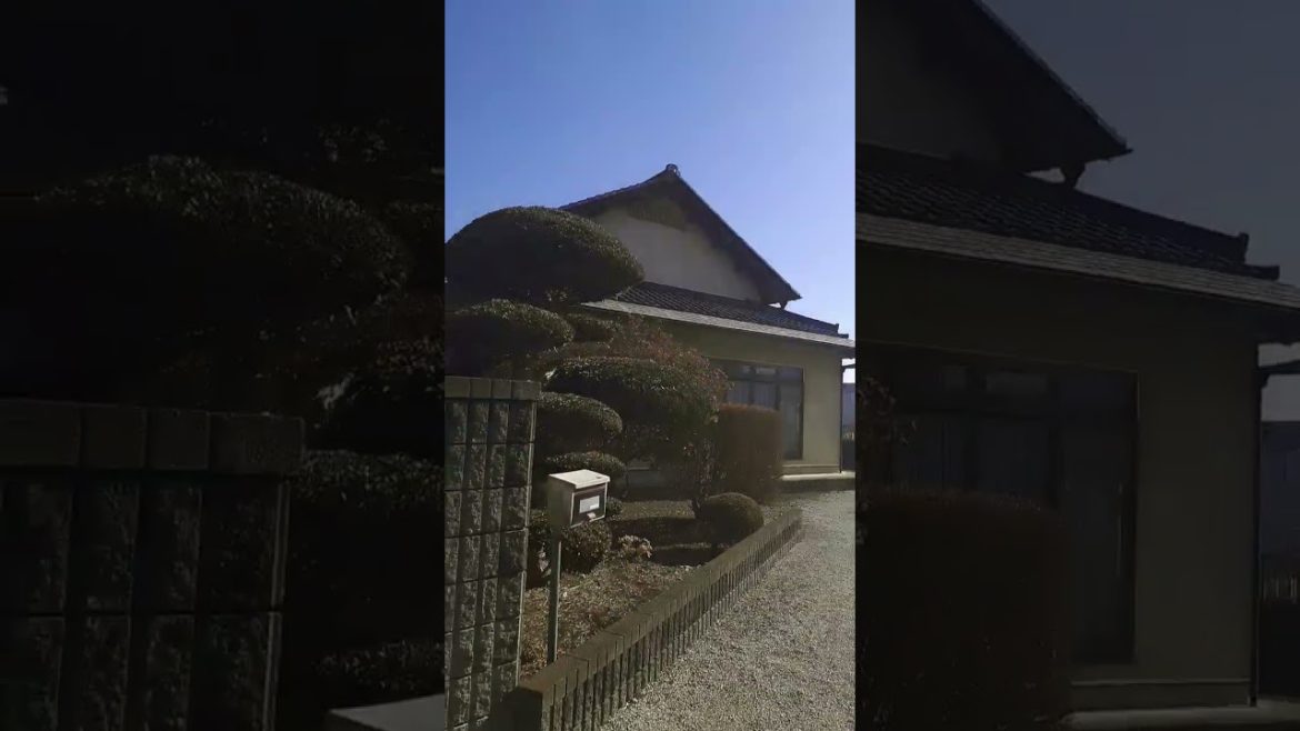 Japanese driveway