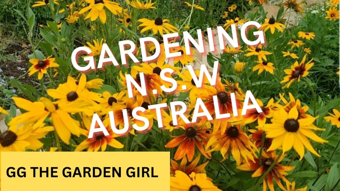A Top Tip To Maximise Your Growing Space • Cottage Garden Vlog @ggthegardengirl A Top Tip To Maximise Your Growing Space • Cottage Garden Vlog @ggthegardengirl