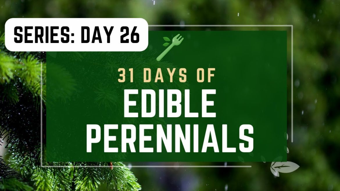 DAY 26 | 31 Edible Perennials | DAY 26 | 31 Edible Perennials |