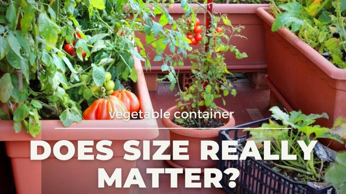 Container Gardening | Choosing right Pot for Plants Container Gardening | Choosing right Pot for Plants