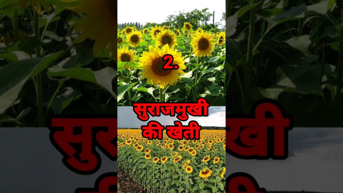 कमाई 2 लाख रुपये सालाना, new farming business ideas 2023 #shortsvideo #shorts #business #new #2023