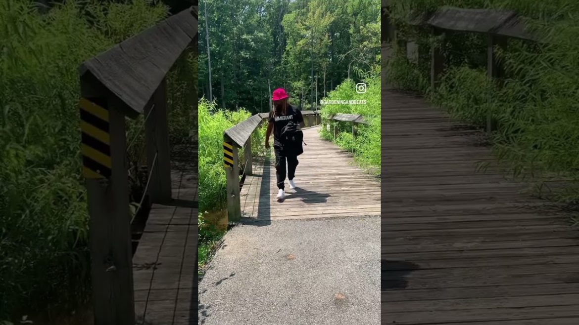 Mission Impossible the Garden Series EP1 Part 1