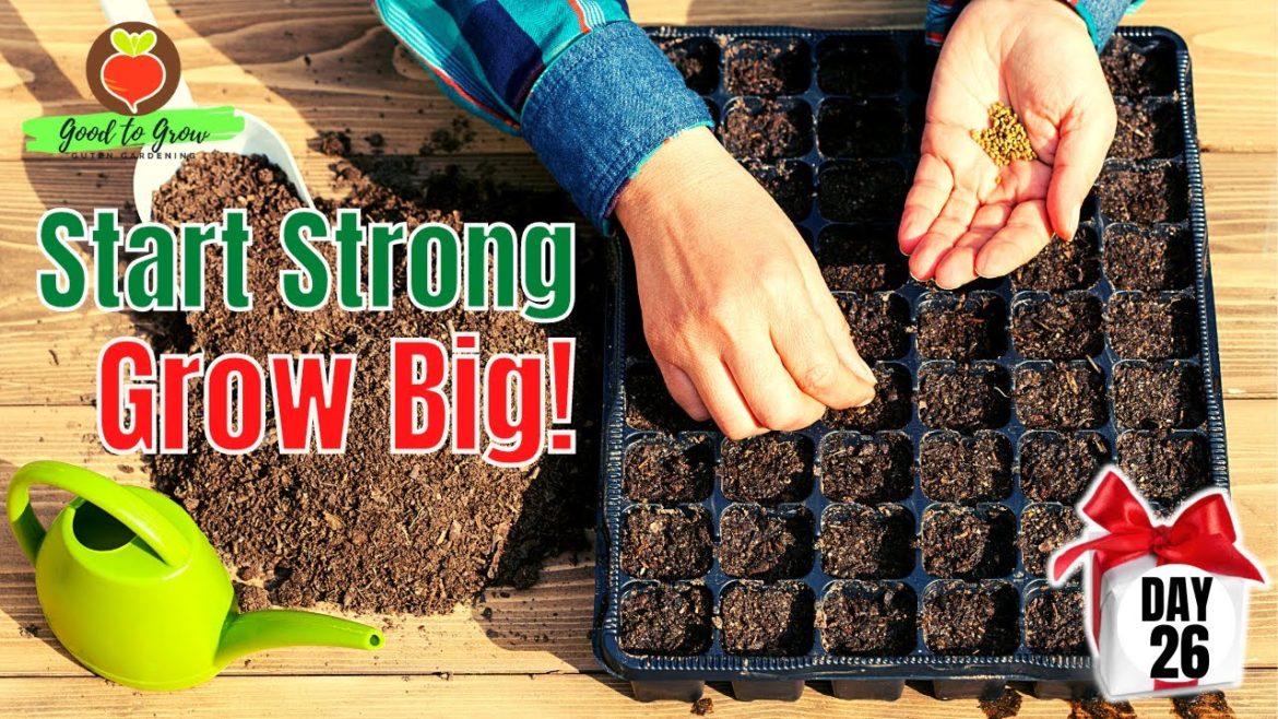 Start Your Garden with Confidence: Essential Seed Starting Supplies Checklist Start Your Garden with Confidence: Essential Seed Starting Supplies Checklist