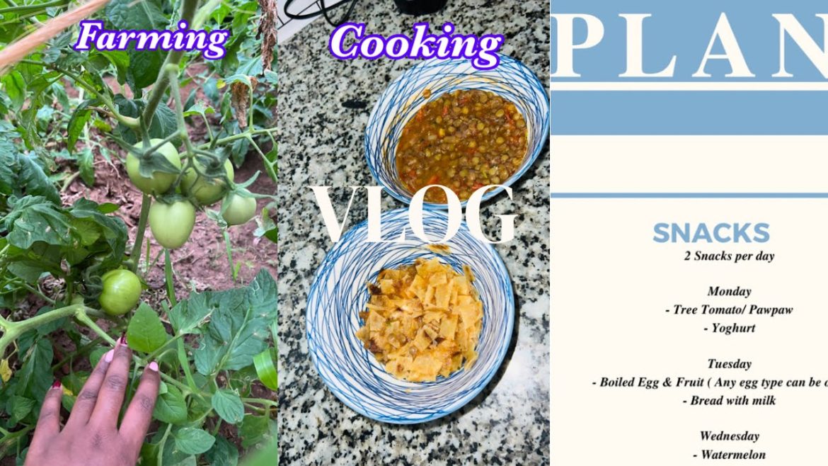 Day in the life of a Kenyan mum+ creating my baby's meal plan, cooking, home farming & home making