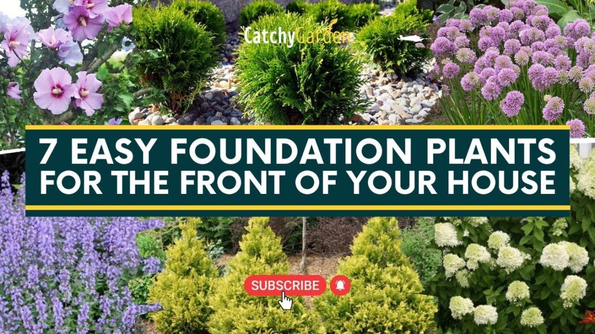 7 Easy Foundation Plants for the Front of Your House 🌹🌷 // Gardening Tips