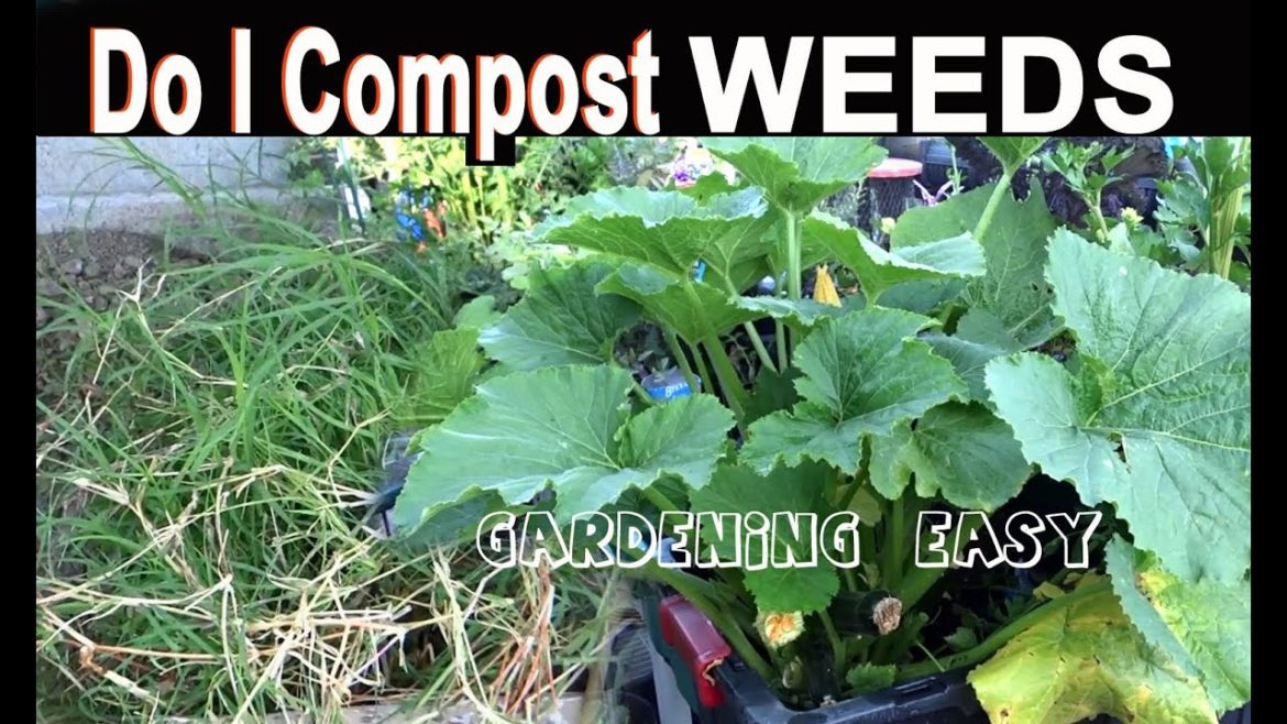 Composting WEEDS? Almost Everything EASY NO TURN-Container Gardening/or In Garden-Growing Vegetables Composting WEEDS? Almost Everything EASY NO TURN-Container Gardening/or In Garden-Growing Vegetables