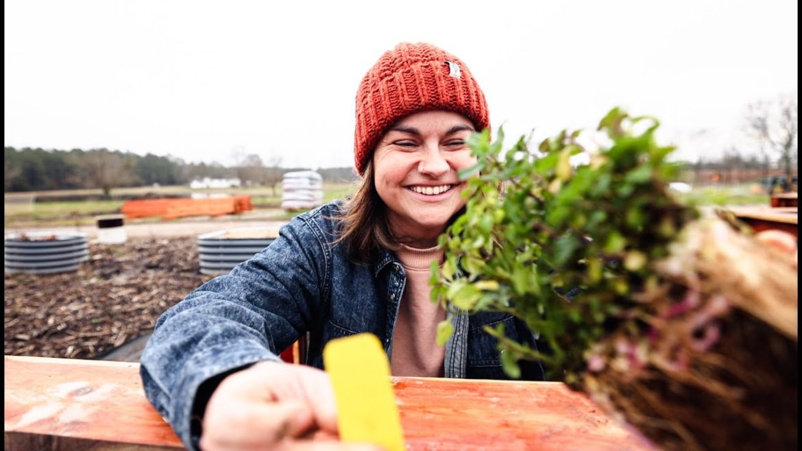 We are Planting Again! (And making the most of dinner) | VLOG