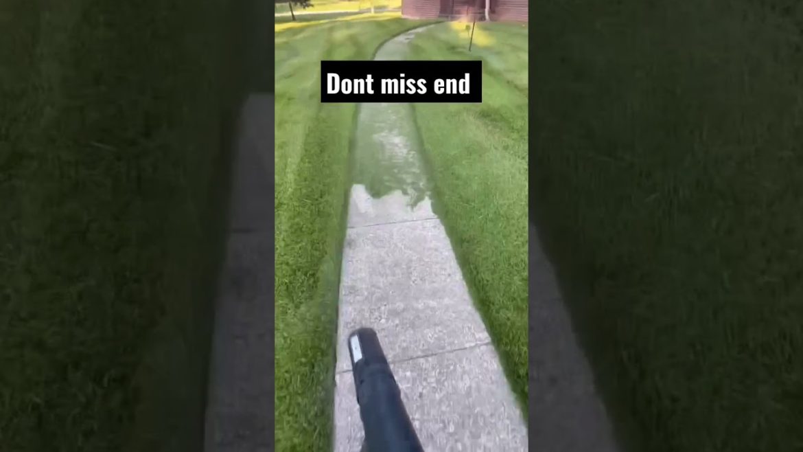 Plant trimming job | Satisfying jobs | #shorts #viral #shortsvideo  #short