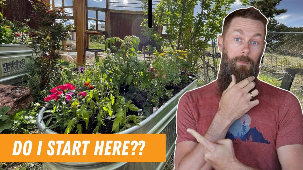 From raw land to homestead in 1 year with this… From raw land to homestead in 1 year with this...