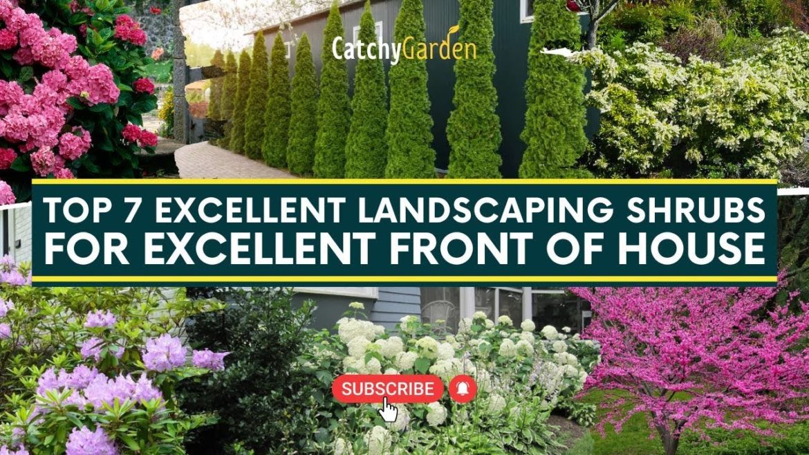 Top 7 Excellent Landscaping Shrubs for Front of House // Foundation Plants π³πΈ Top 7 Excellent Landscaping Shrubs for Front of House // Foundation Plants π³πΈ