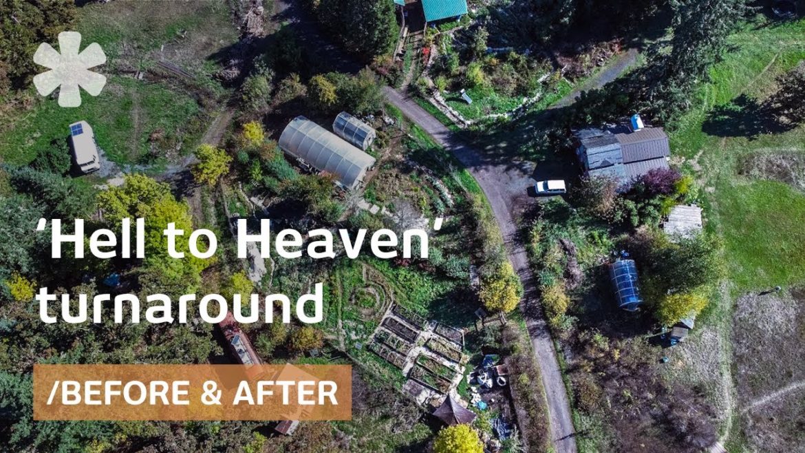 Lost Valley wasteland revived as clever Restorative Ecovillage Lost Valley wasteland revived as clever Restorative Ecovillage