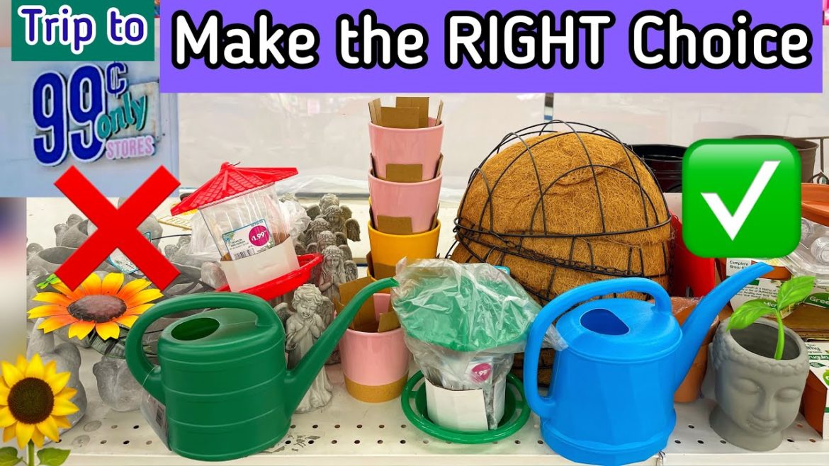 99 cent Store Spring Shopping MUST HAVES Seeds Container Garden DIY Bird Feeder Tomato Plant 2 for 1