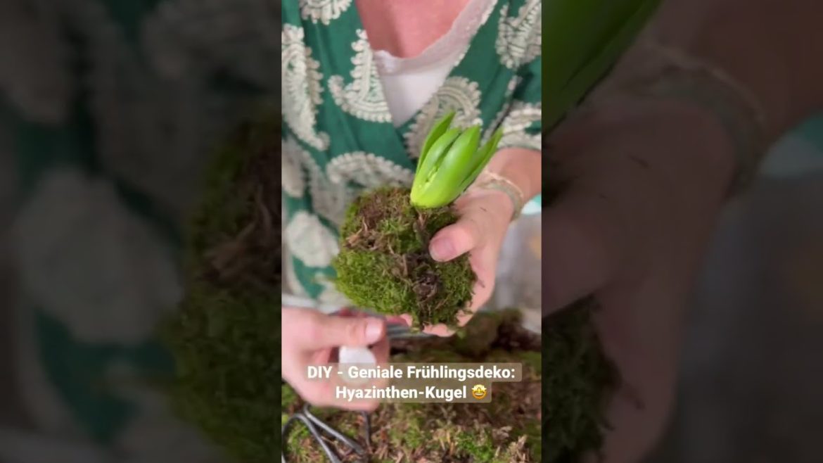 GENIALE #frühlingsdeko mit #hyazinthen 🤩 - Hast du das schon gesehen? 😍