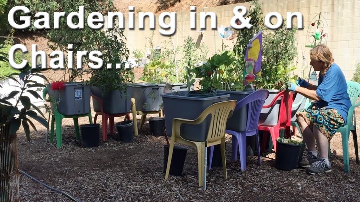 EASY Morning Gardening in Chair Container Garden Setup Growing from Seeds Zucchini Tomatoes Layering