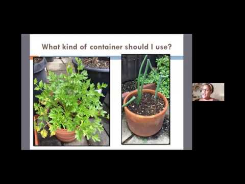 Big Gardens in Small Spaces: The Adventure of Container Gardening Big Gardens in Small Spaces: The Adventure of Container Gardening
