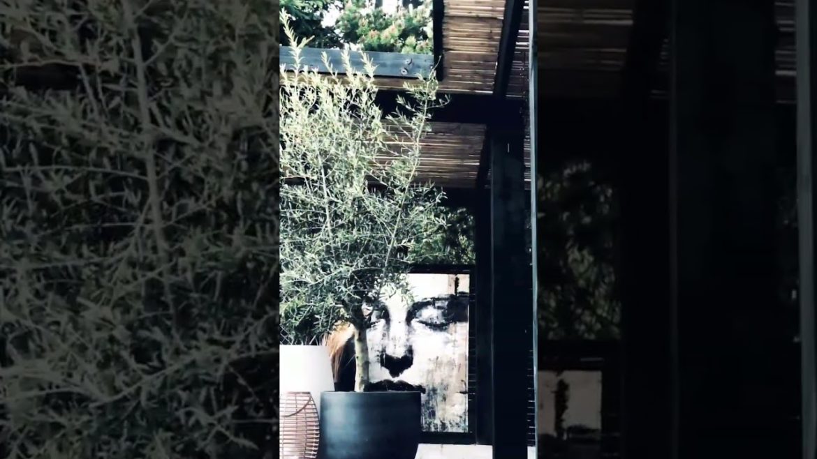 decent backyard garden design💥❤🔥@doonLuxuryhomes #shorts #backyard #garden