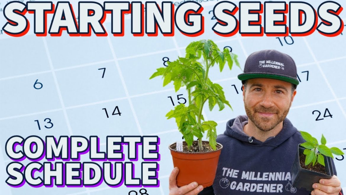 When To Start Plants From Seed: A COMPLETE SCHEDULE For Summer Veggies When To Start Plants From Seed: A COMPLETE SCHEDULE For Summer Veggies