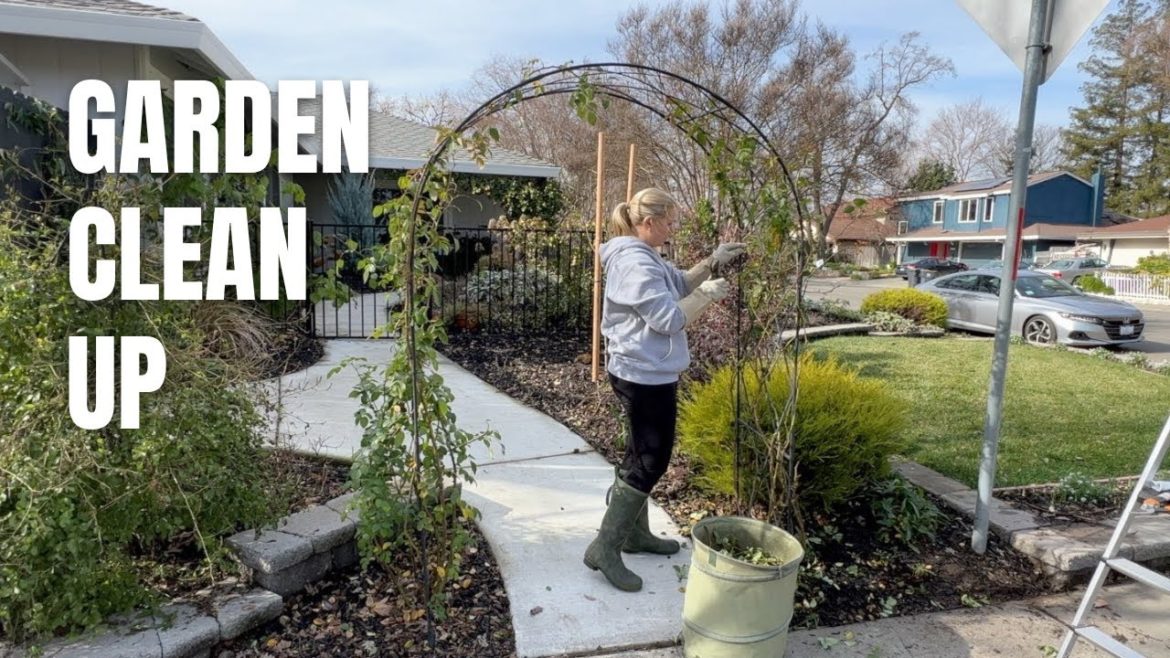 Winter Garden Cleanup Day! 🧹✂️🍃 :: Pruning Roses, Cutting Back Perennials and Cleaning Out Pots! Winter Garden Cleanup Day! 🧹✂️🍃 :: Pruning Roses, Cutting Back Perennials and Cleaning Out Pots!