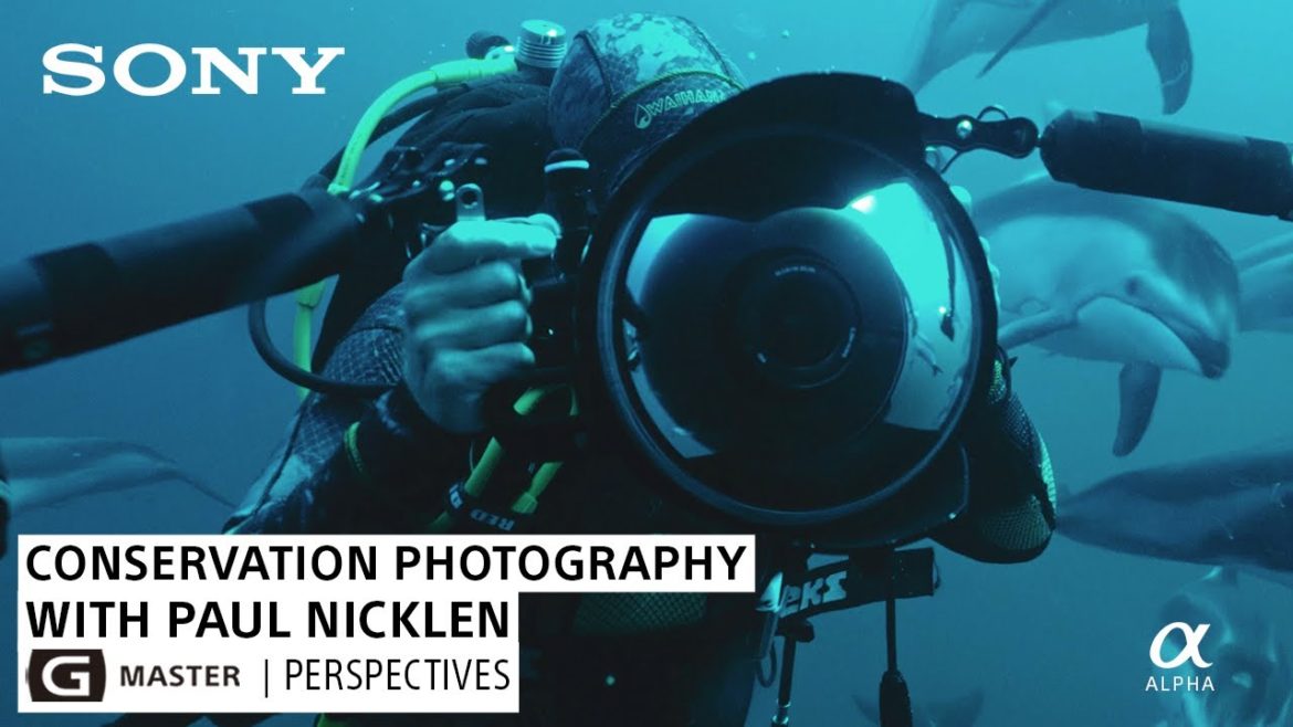 Conservation & Passionate Storytelling with Paul Nicklen | G Master Perspectives Conservation & Passionate Storytelling with Paul Nicklen | G Master Perspectives